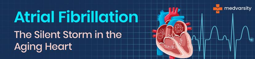 Visual representation of atrial fibrillation in the elderly heart