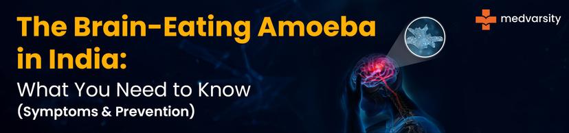 brain-eating-amoeba-awareness-india