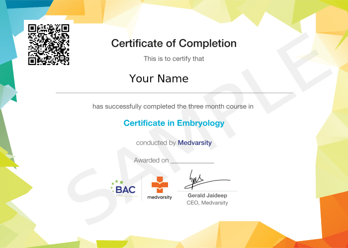 Certificate of Completion