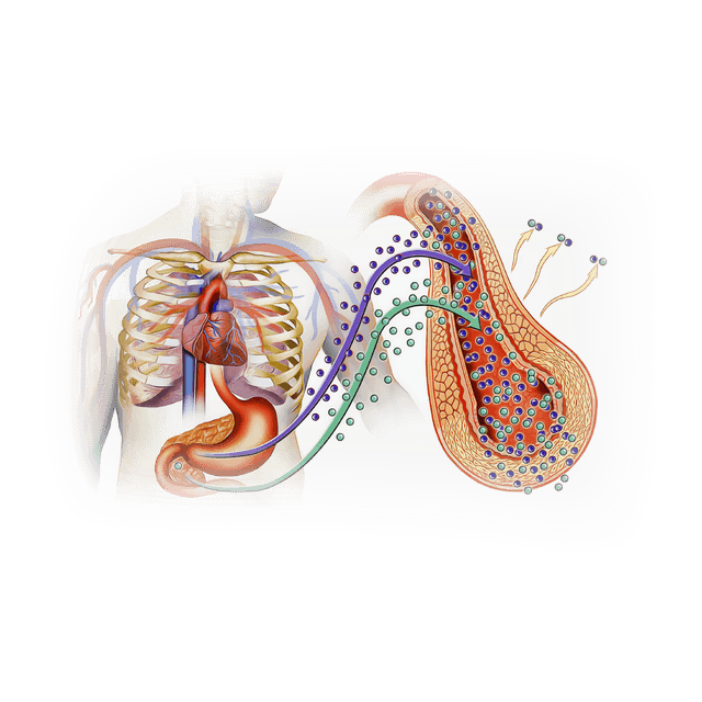 Diabetes Mellitus Essentials
