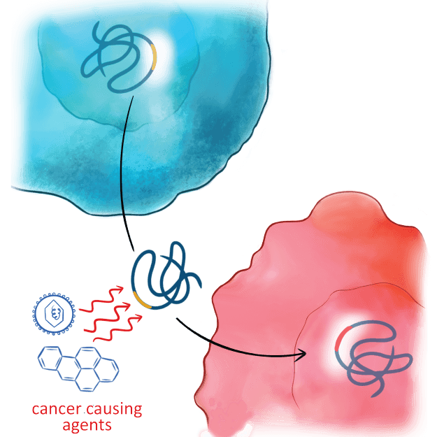 Certificate Course in Clinical Oncology