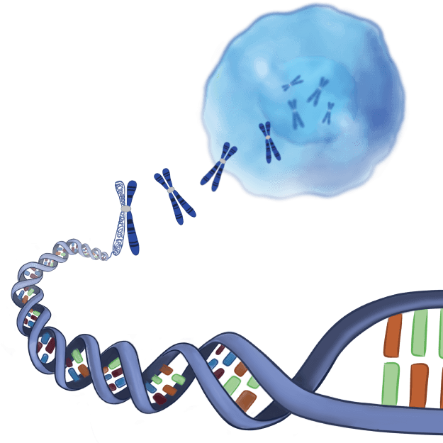 Certificate Course in Cancer Nutrition
