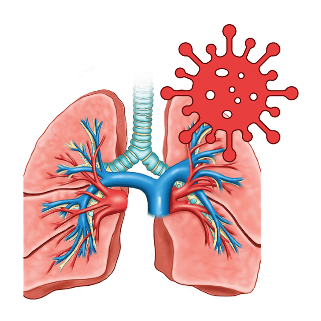 COVID 19 and Pulmonology Essentials