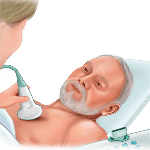 Intensive Care Echo & Basic Lung Ultrasound