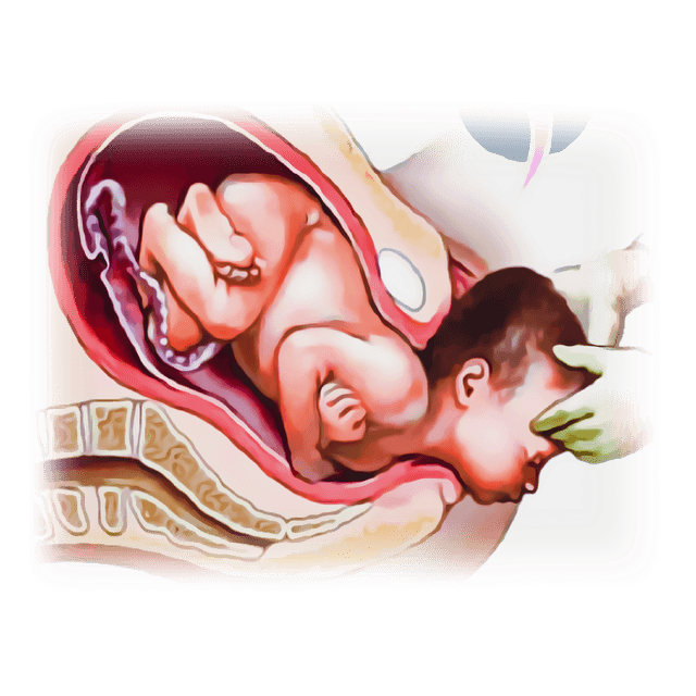 Gynecology and Obstetrics Essentials