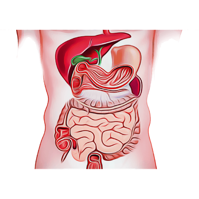 Gastroenterology Essentials